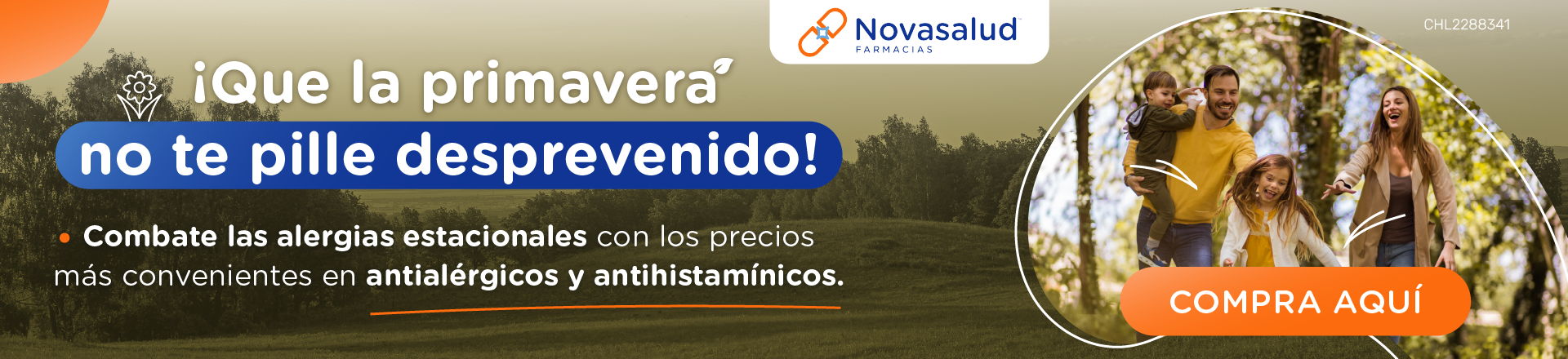 Alergias y Antihistamínicos Alergias y Antihistamínicos