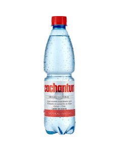 Cachantun - 500ml Agua Mineral Sin Gas