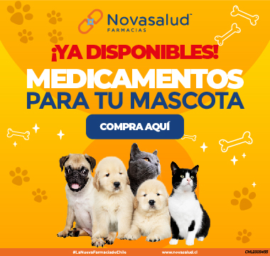 medicamentos para perros y gatos 